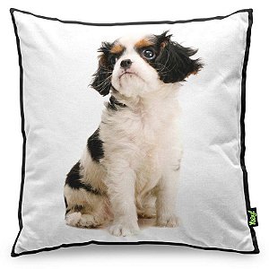 Almofada Love Dogs Black Edition - Japanese Chin