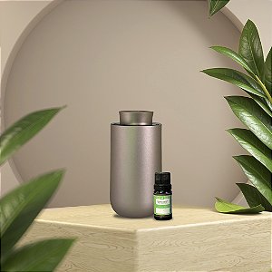 Kit Aromatizador Nova Olyra Wind Deluxe Champanhe Gold 10m² + 1 Recarga  Air 10ml