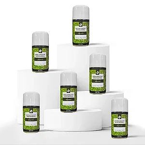 Kit 6 Refis Aerossóis Profissionais Acácia 257ml/180g