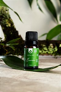 Refil Air Profissional - Bambu
