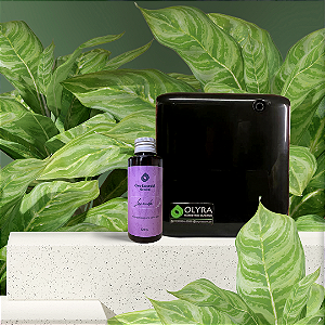 Kit Aromatizador Home Classic 70m² Preta + Óleo Essencial 100ml