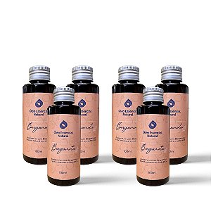 Kit 6 Óleos Essenciais