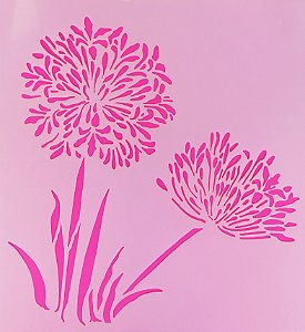 SRA-1432 - FLOR  DO NILO OU AGAPHANTUS