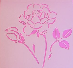 SRA-1779 - ROSA CONTORNO