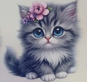 ADR-263 - GATINHO FOFO -