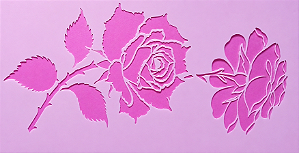 SRA-1836 - ROSA ABERTA E ROSA VIRADA