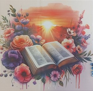 ADR -325 - PAISAGEM BIBLIA