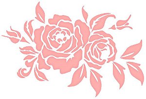 SRA-111 ROSAS 22X15