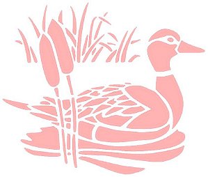SRA-495 PATO NO LAGO 16X14