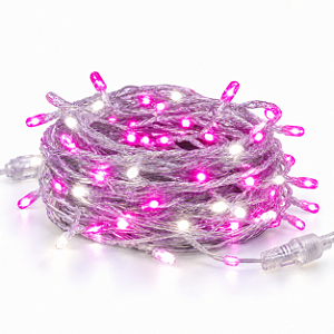 Pisca LED Natal Sequencial 3 Metros Rosa Fio Translucido Bivolt