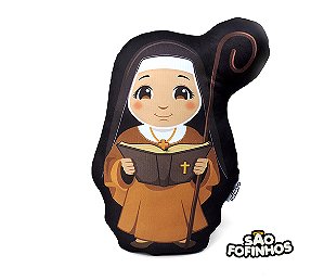 Almofada Boneco Santa Mônica