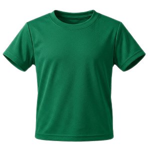Camiseta Verde Bandeira Infantil (02 ao 14)