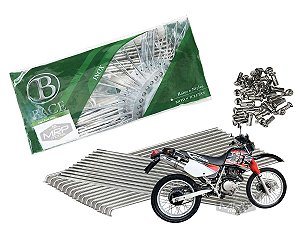 Jogo de Raios Aço Inox Polido 4mm Bace Traseiro Xr 200