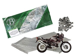 Jogo de Raios Aço Inox Polido 4mm Bace Traseiro Super Ténéré 750