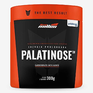 Palatinose 300g - New mIllen