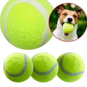 Kit 3 Bolas de Tenis Pet Treinamento Brincadeira Cachorro