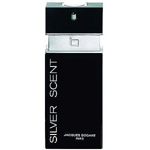 Perfume Silver Scent Masculino EDT 100 ml