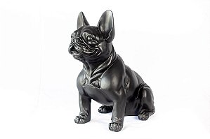 Buldogue Frances