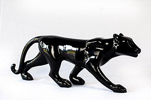Jaguar Caminhando Médio