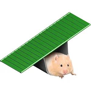 Brinquedo Gangorra Pet Plástico Sortido