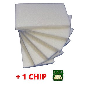 KIT ESPONJAS ESTACAO LIMPEZA EPSON F570 T3170 + CHIP