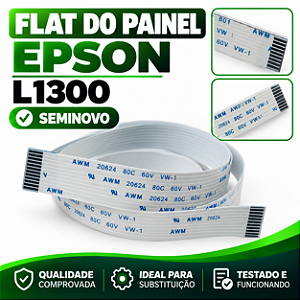 FLAT DO PAINEL EPSON L1300 - SEMINOVO