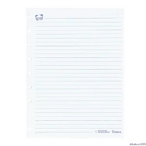 Refil Medio Pauta 90g Luluca- Caderno Inteligente