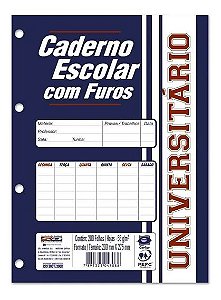 Caderno Esc Furos 96f Refil - Sd