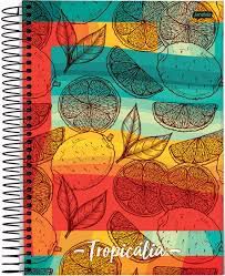 Caderno Esp Univ Cd 12m 240f Tropicalia - Jandaia