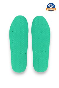 Palmilha Ecosystem Bidensidade Verde