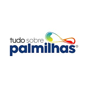 Curso de Chinelos Posturais - Tudo Sobre Palmilhas®