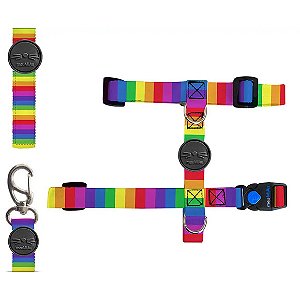 Kit H Meu miau Rainbow Único