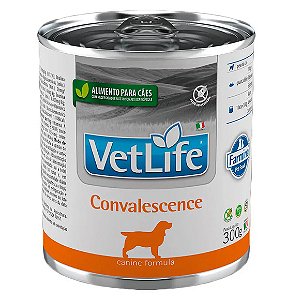 Ração Úmida Vet Life Convalescença para Cães 300 g