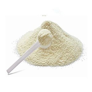 Leite de Coco em Pó 30-35% Fat (Vegano S/ Lactose)