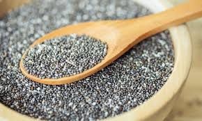Semente de Chia