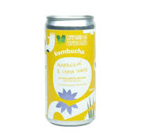 Kombucha de Capim Santo / Chá  Verde  com Maracujá 269 ml - Cia dos Fermentados