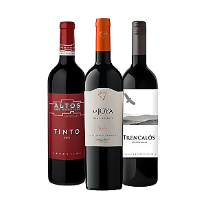 Kit 3 Vinhos Especiais