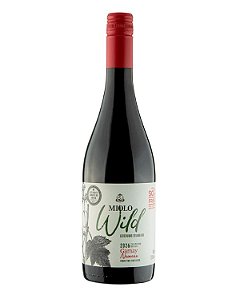 Miolo Gamay 2026