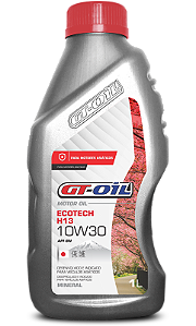 GT OIL MINERAL ECOTECH H13 SN-GF5 10W30