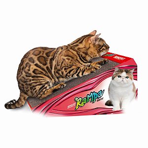 Brinquedo Arranhador Rampa