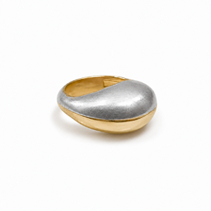Anel Duo Prata e Dourado