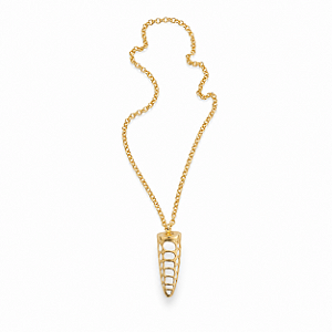 Colar Longo Dente Branco