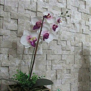 Mosaico De Travertino romano Variado Alto Relevo