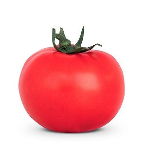 SEMENTES DE TOMATE ITAPITÃ (12 sementes / 0,02g)