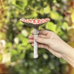 Cogumelo Amanita Vermelho