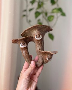 Colônia de cogumelos marrom