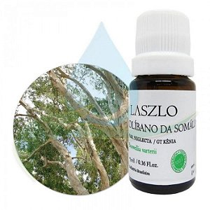 ÓLEO ESSENCIAL DE OLÍBANO DA SOMÁLIA - LASZLO -  5ml