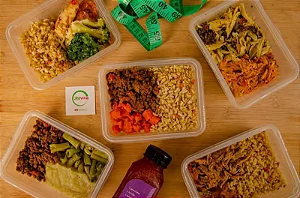 Kit Fitness - 10 Marmitas de 250g cada