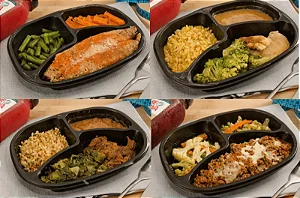 Kit Emagrecimento Saudável - 10 Marmitas 300g cada
