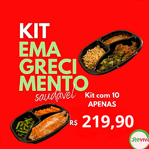 Kit Emagrecimento Saudável - 10 Refeições 300g cada